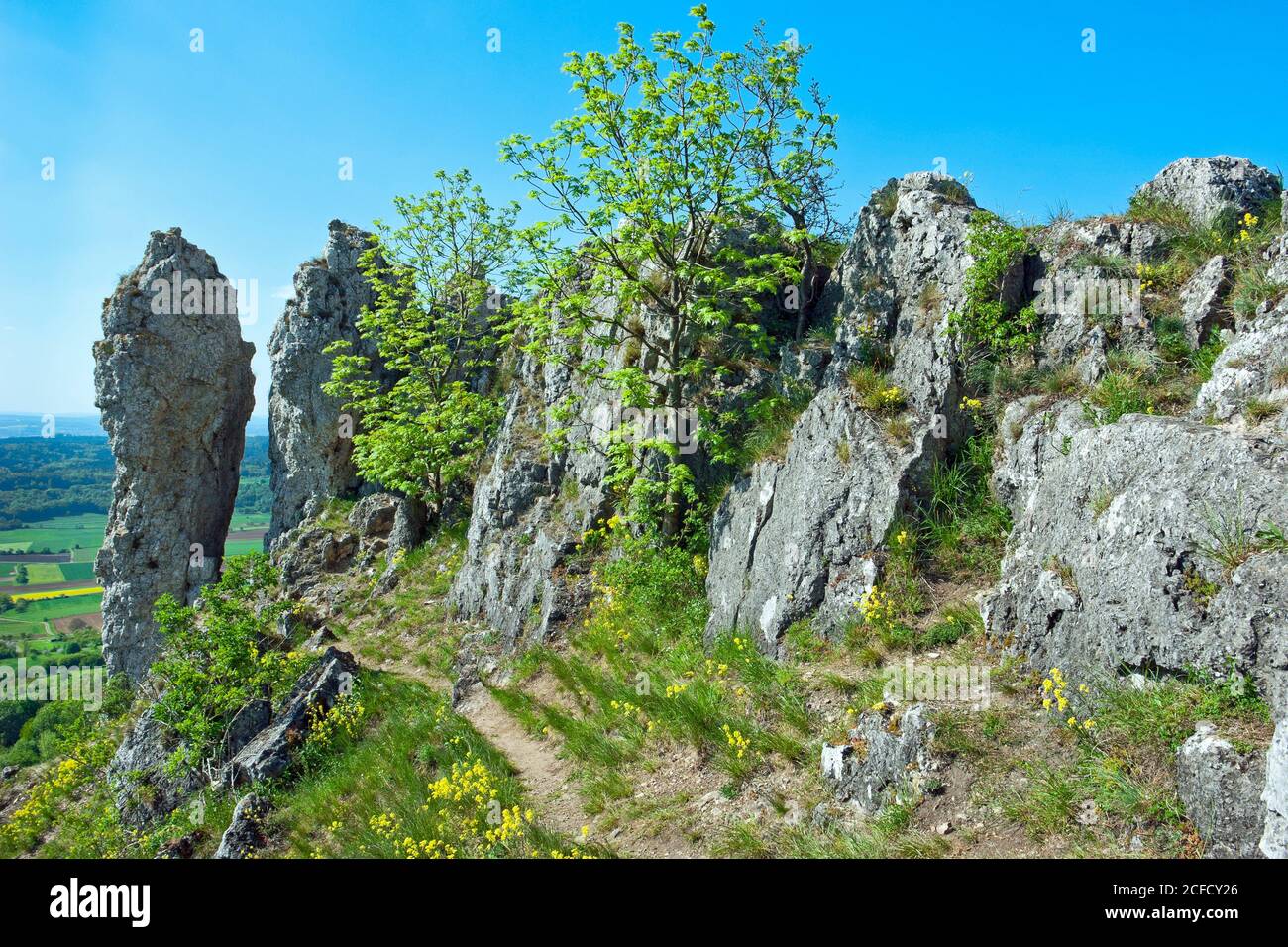 Nature reserve franconian switzerland hi-res stock photography and images -  Alamy