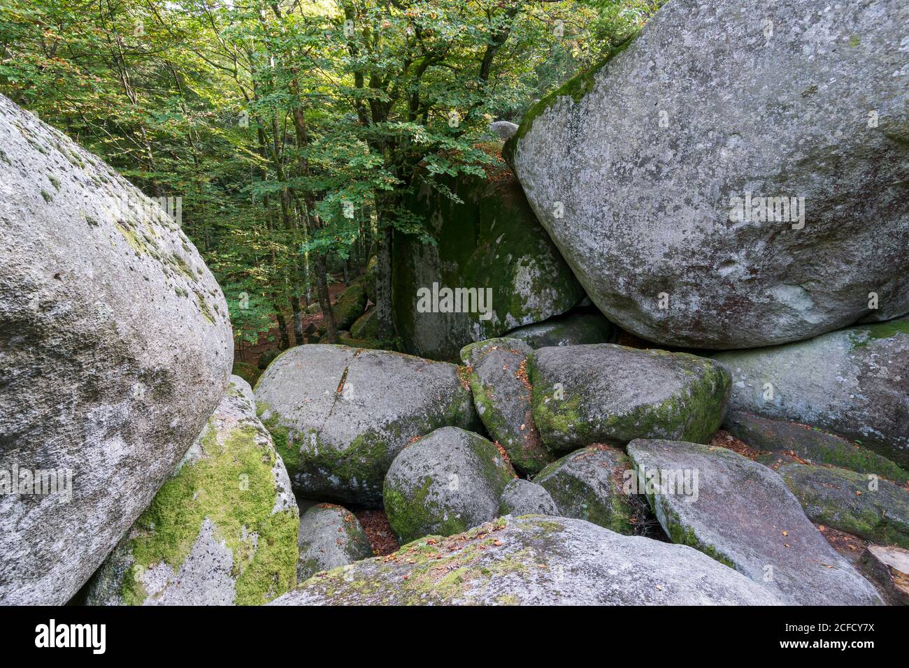 Germany, Baden-Wuerttemberg, Furtwangen, Günterfelsen, Triberg granite woolen bag weathering, natural monument Stock Photo