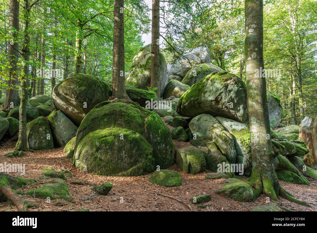 Germany, Baden-Wuerttemberg, Furtwangen, Günterfelsen, Triberg granite woolen bag weathering, natural monument Stock Photo
