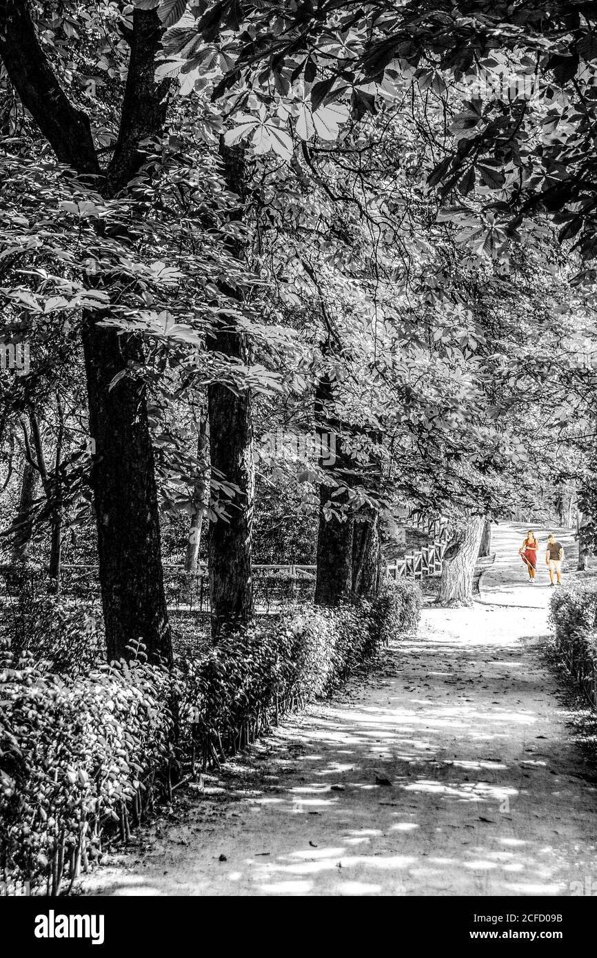 Black and white mono colour mono color hi-res stock photography and ...