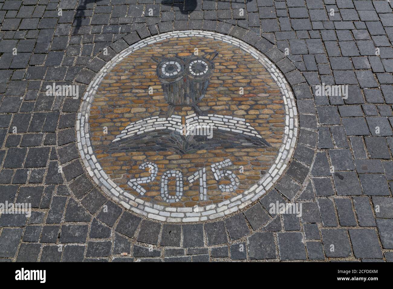 Owl with book, paving stone mosaic, Freiburg, Freiburg im Breisgau, Baden-Württemberg, Germany, Europe Stock Photo