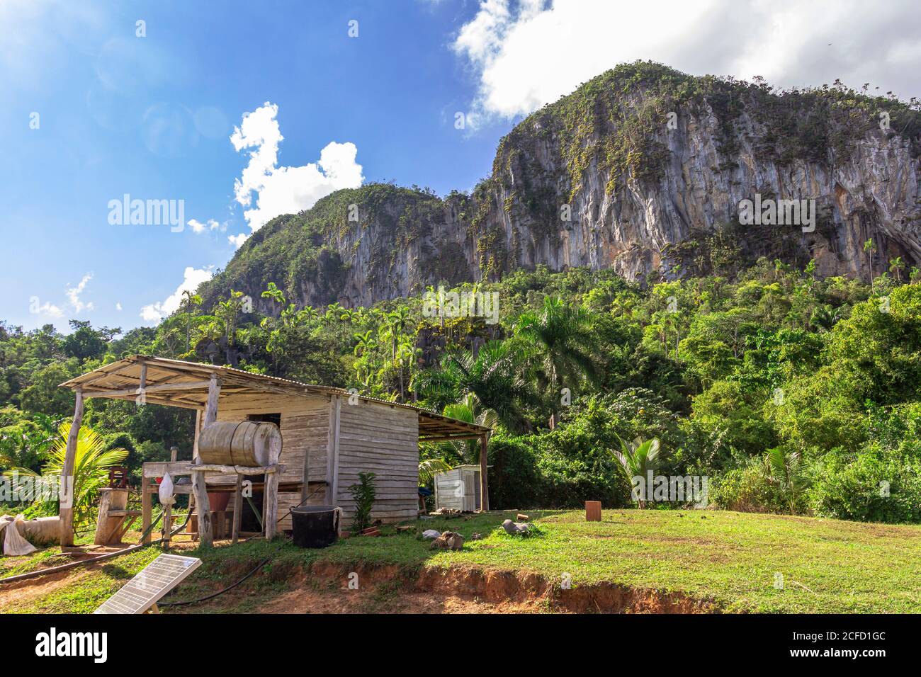 Landscape on hiking trail 'Los Aquaticos' in the Vinales valley ('Valle de Vinales'), Pinar del Rio province, Cuba Stock Photo
