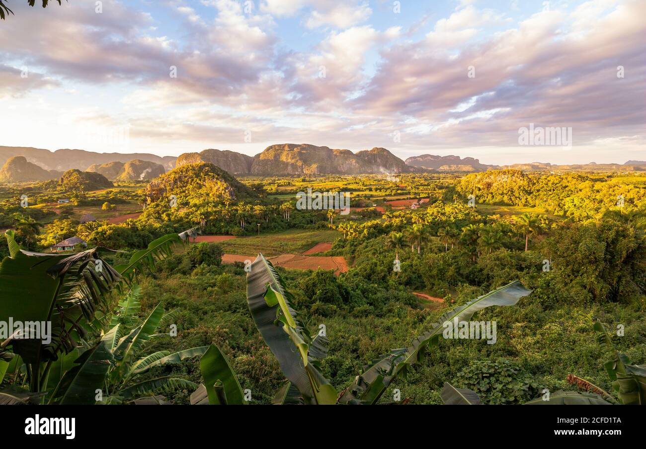 View of the Vinales valley ('Valle de Vinales') in the evening light, Pinar del Rio province, Cuba Stock Photo