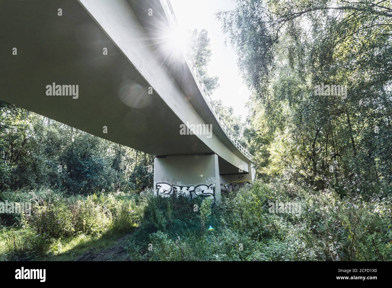 Architecture, technology and nature, under a bridge, superstructure against the light, sun spot with rays of light, vegetation on the banks of the Stock Photo
