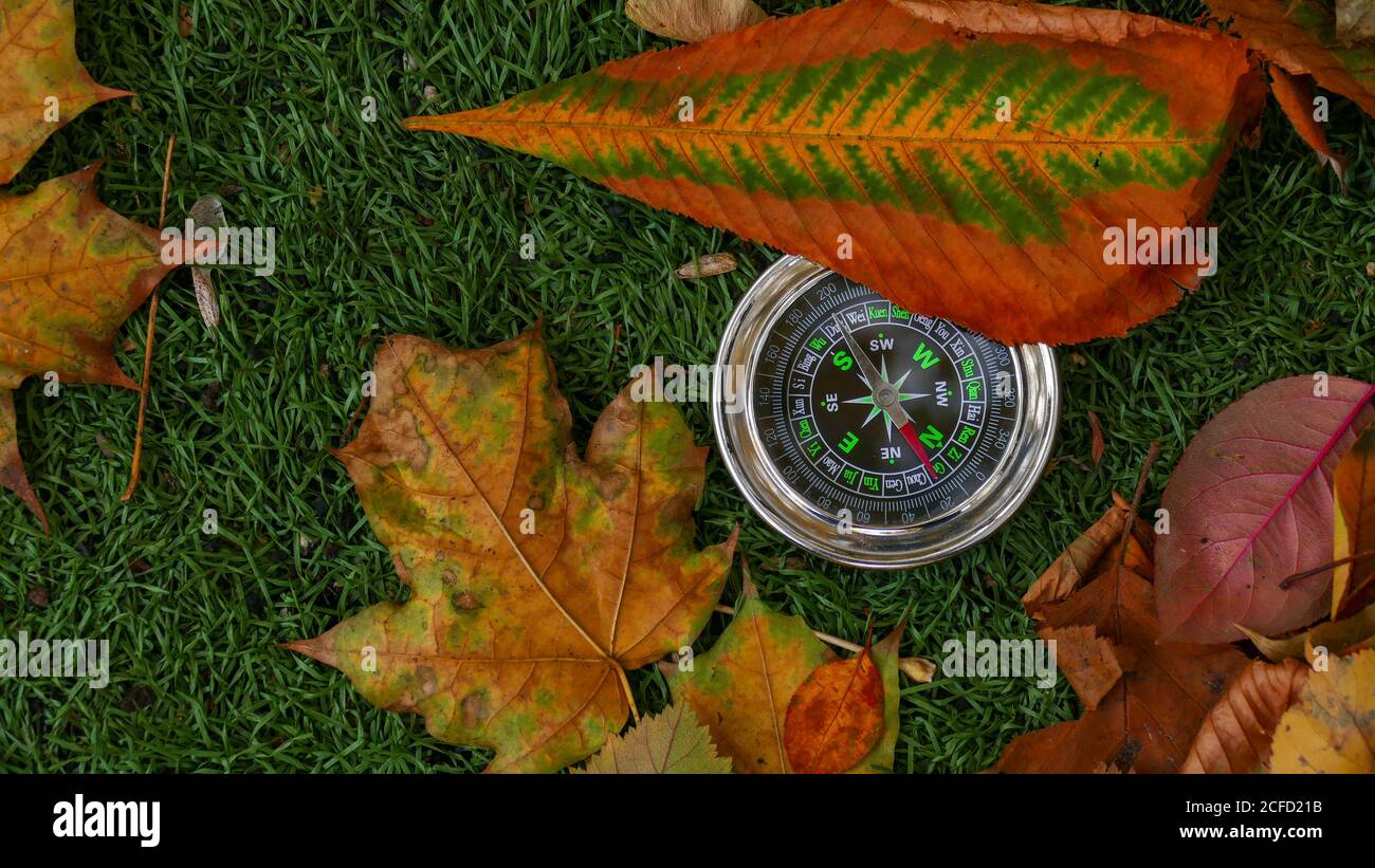 Use Compass In The Forest Stock Photo Alamy