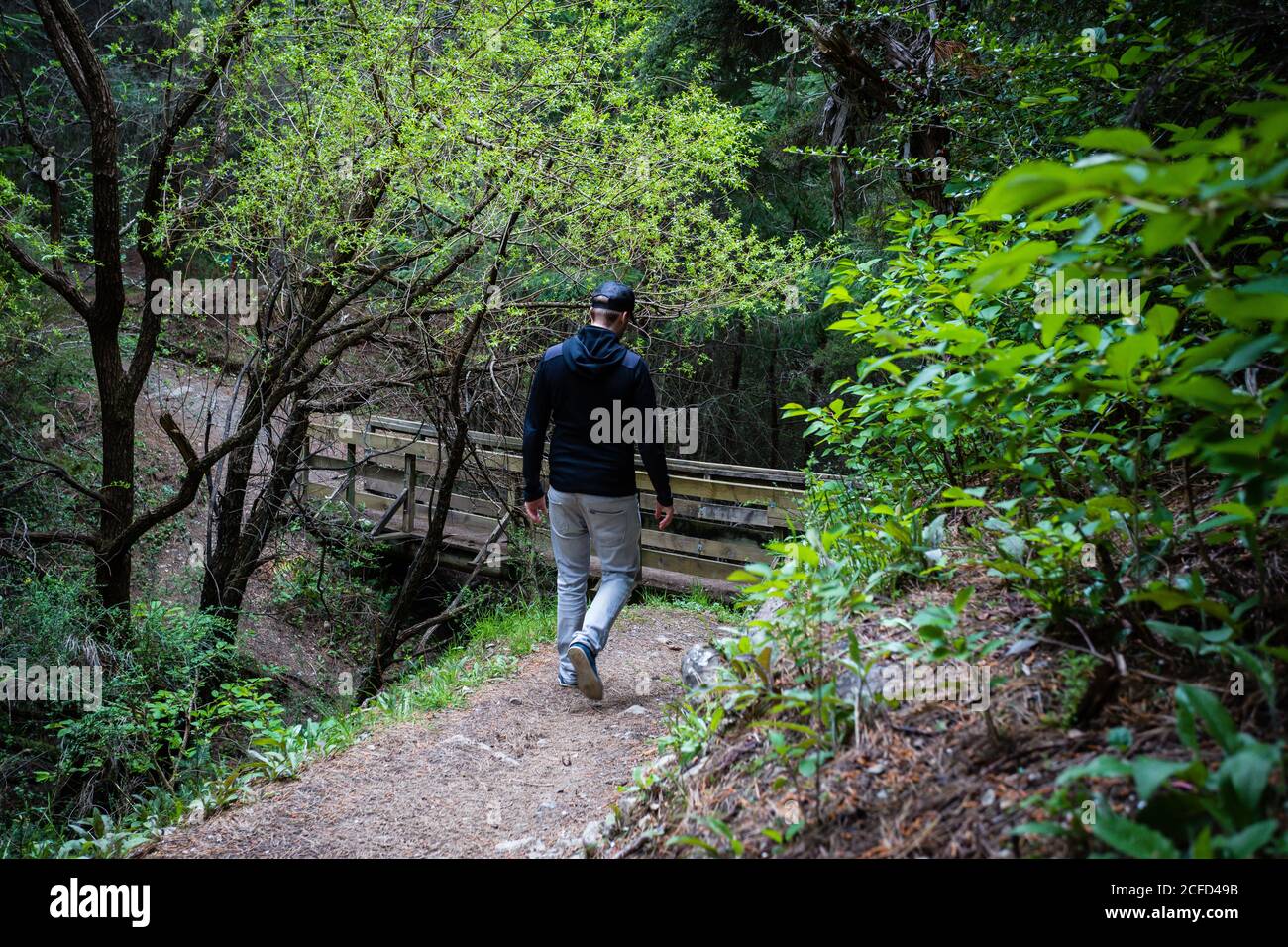 Woodland Walk Recreation Reserve hiking trail, Hanmer Springs 7334 Stock  Photo - Alamy