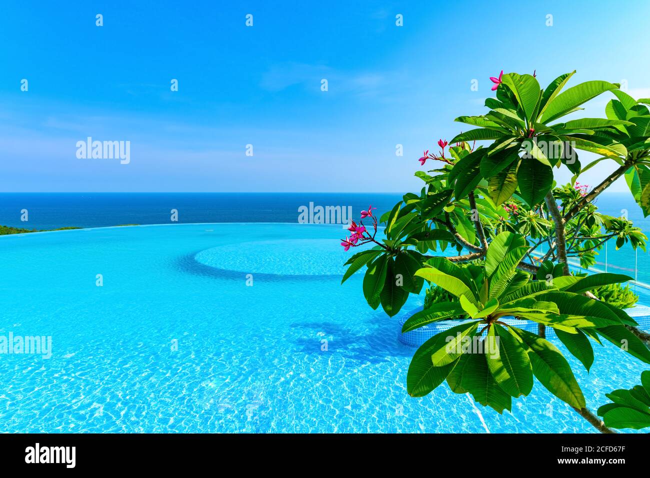 edgeless swimming pool with frangipani tree in front and ocean at back Stock Photo