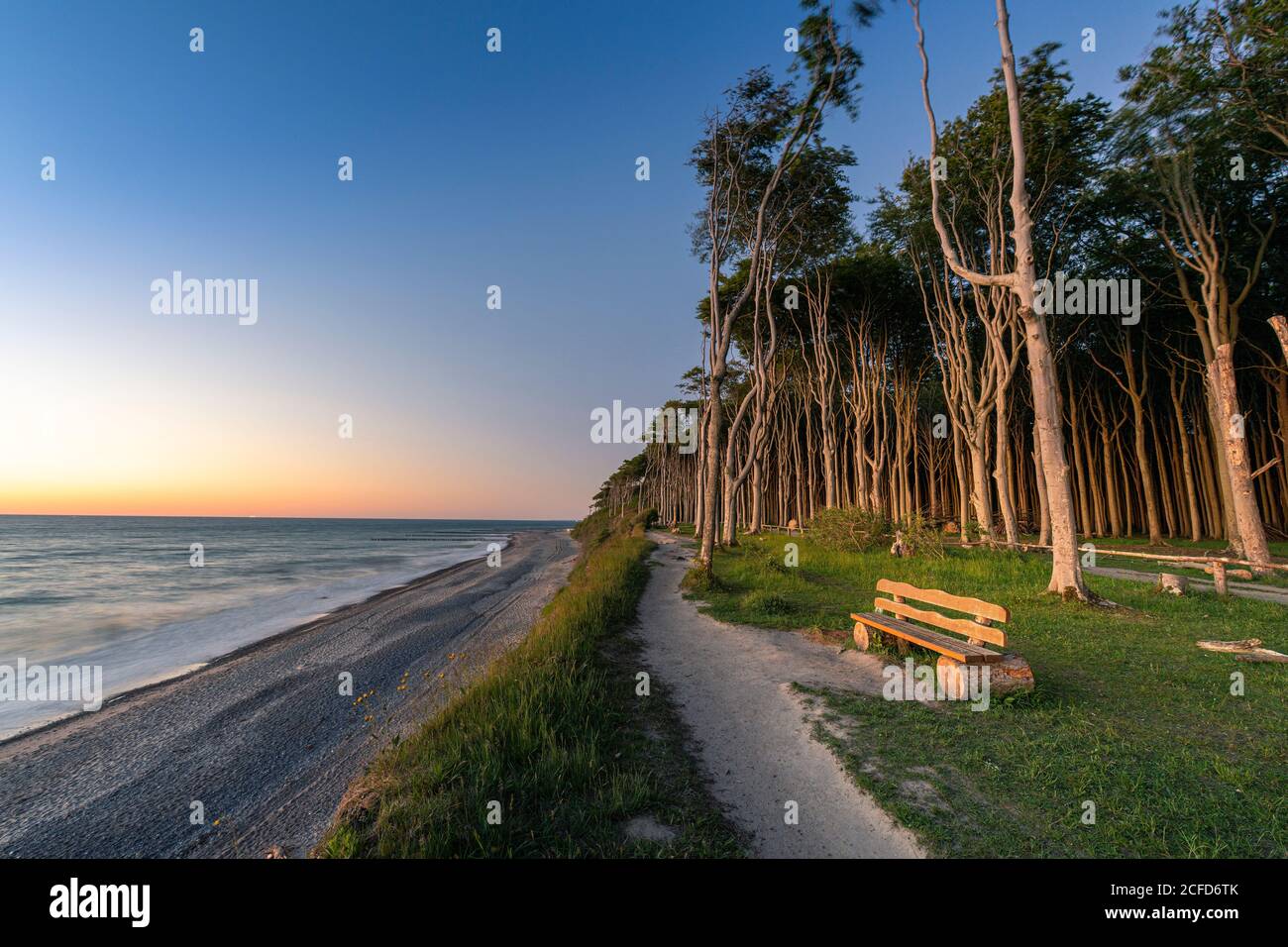 Sunset in the ghost forest near Nienhagen on the Baltic Sea. Stock Photo
