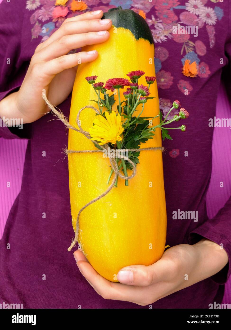 Two-tone yellow-green zucchini 'Zephyr', decorative with flowers Stock Photo