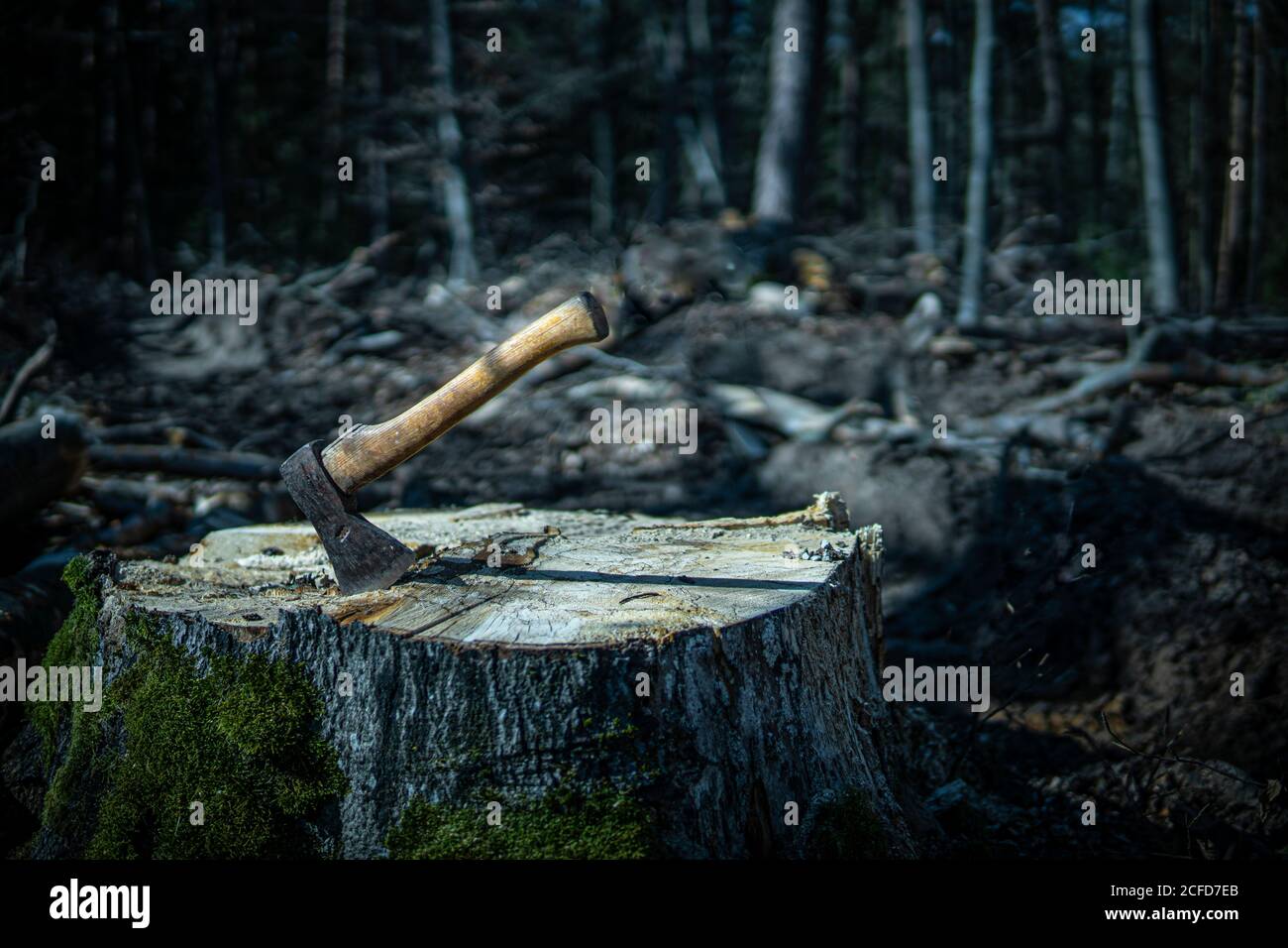 The ax in the forest Stock Photo Alamy