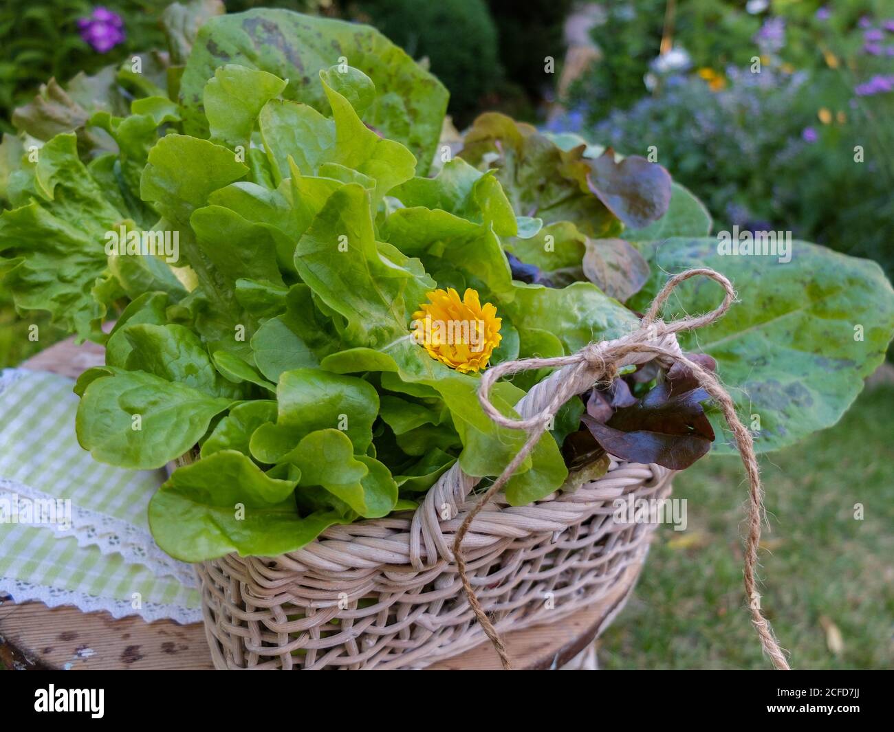 Various freshly picked salads in a decorative basket Stock Photo