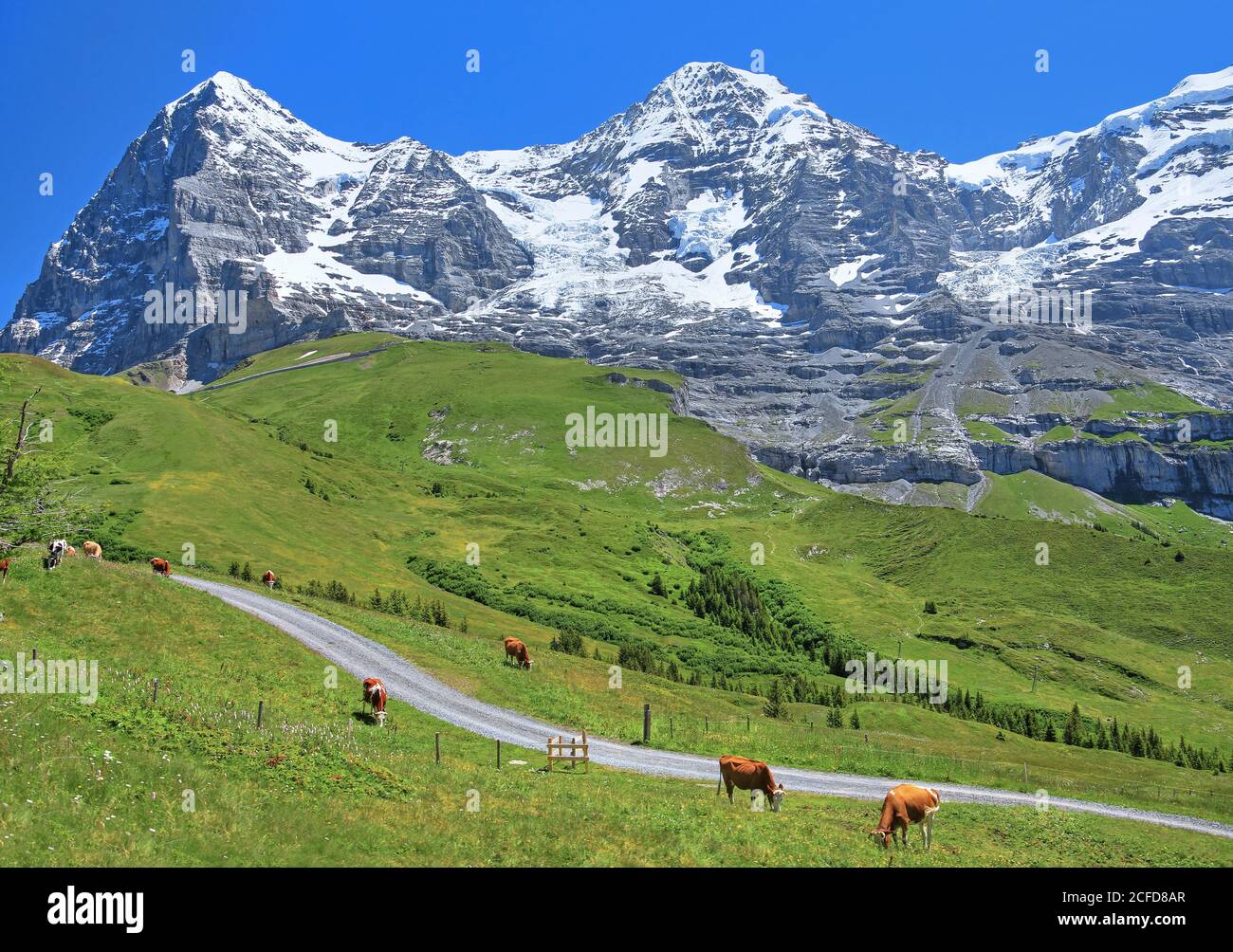 Wengernalp with Eiger and Moench, Wengen, Jungfrau region, Bernese Alps, Bernese Oberland, Canton of Bern, Switzerland, UNESCO World Natural Heritage Stock Photo