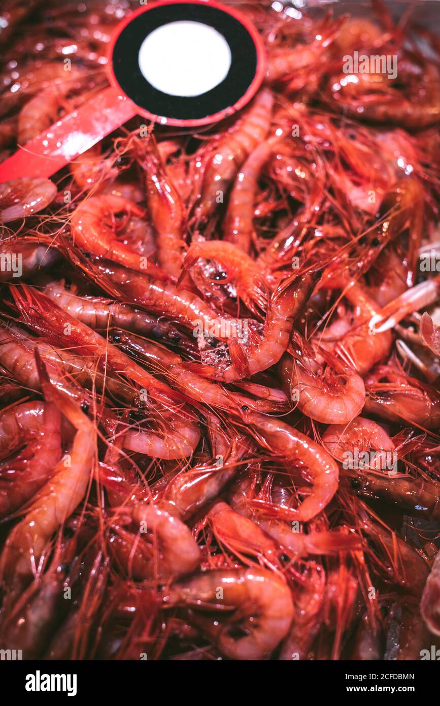 Prawn Factory High Resolution Stock Photography And Images Alamy