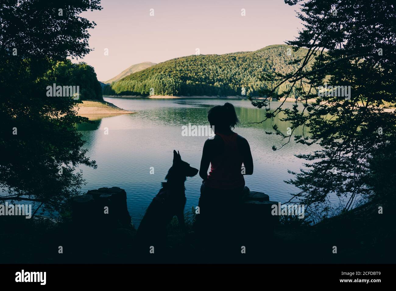 Silhouette of female traveler with dog admiring picturesque view of lake and forest in summer day Stock Photo