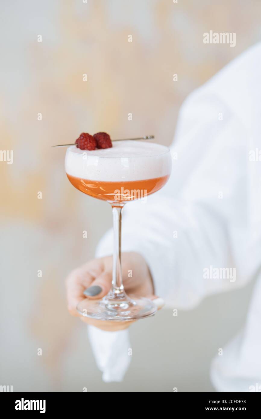 anonymous waiter in white shirt holding delicious red cocktail in stylish glass decorated with fresh raspberry Stock Photo
