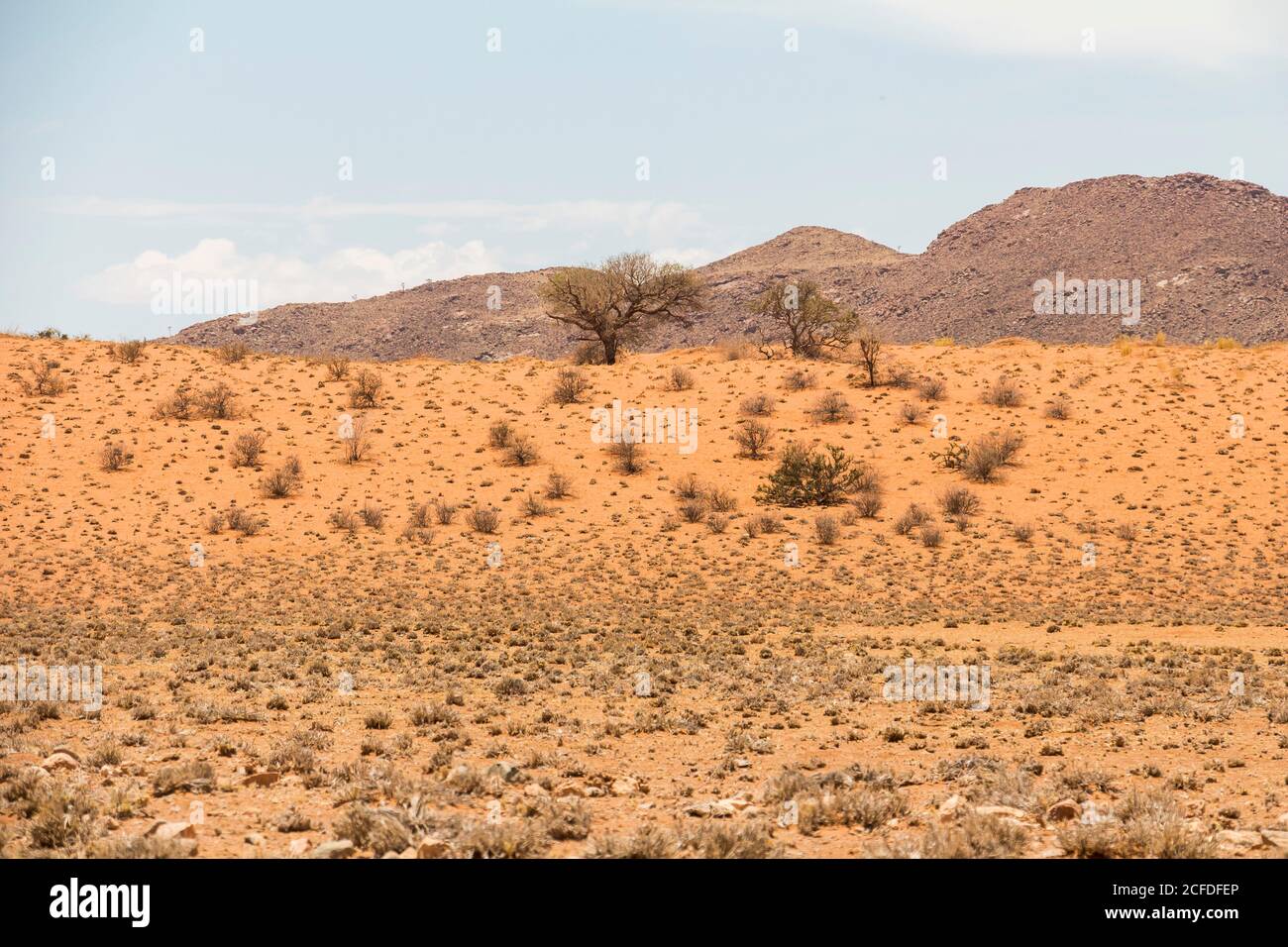 Sand desert road hi-res stock photography and images - Alamy
