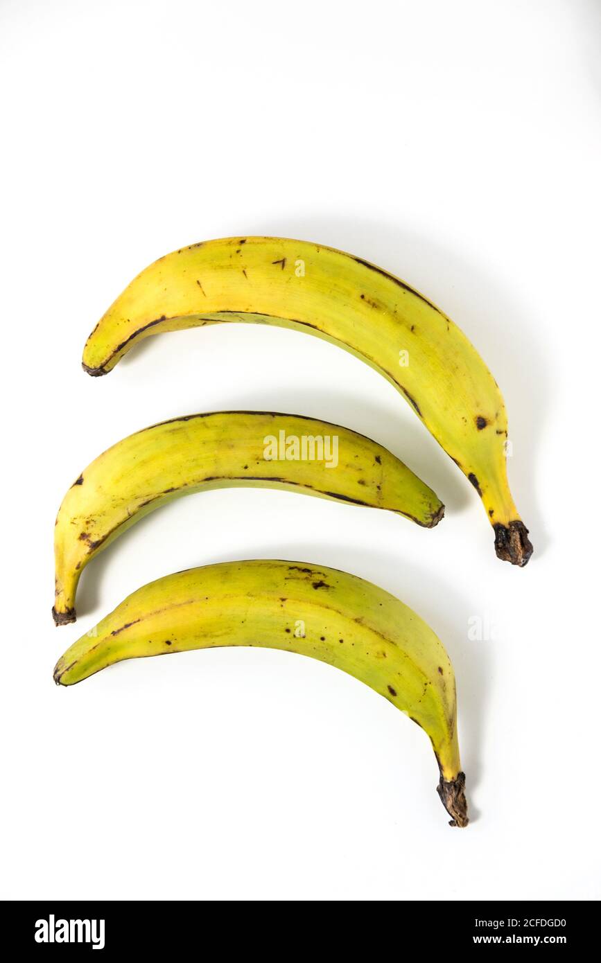 Three plantains on a white background Stock Photo Alamy