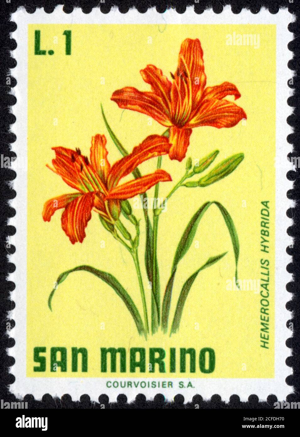 Timbre San Marino. Hemerocallis hybrida. L.1 Stock Photo