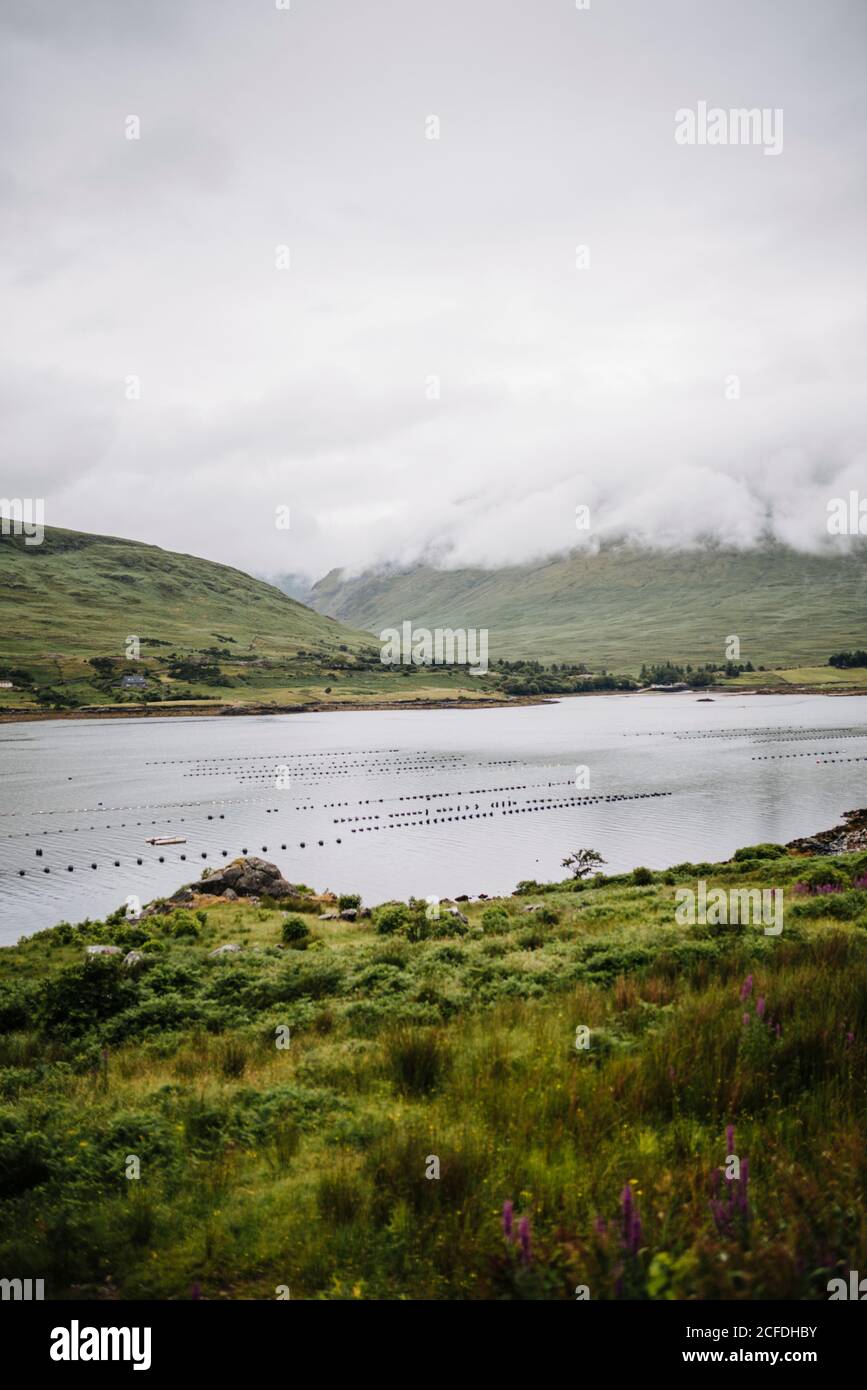 Shellfish farming in killary harbor hires stock photography and images