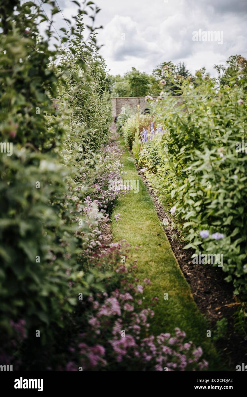 lush flower beds in the Victorian kitchen garden in Phoenix Park, Dublin, Ireland Stock Photo