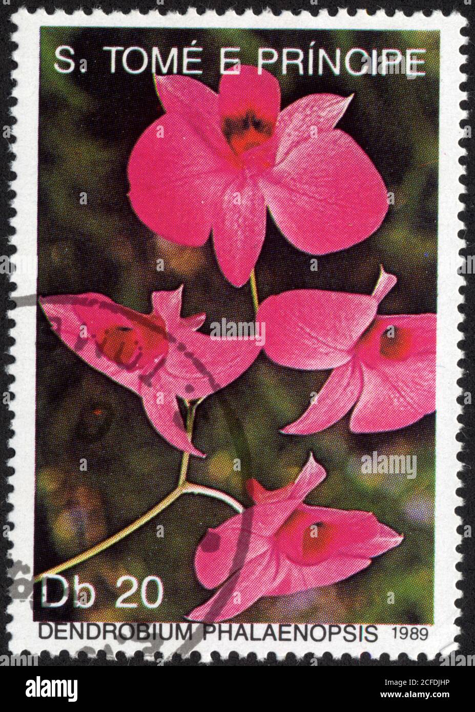 Timbre Dendrobium phalaenopsis. 1989. S.Tomé e Principe Stock Photo