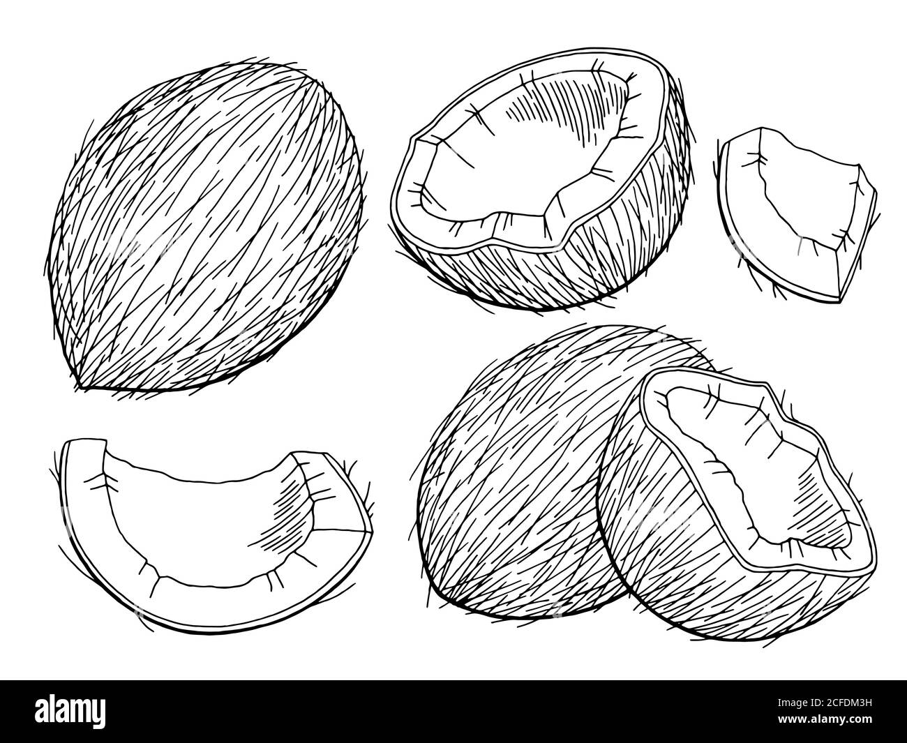 Coconut raw fruit Black and White Stock Photos & Images Alamy