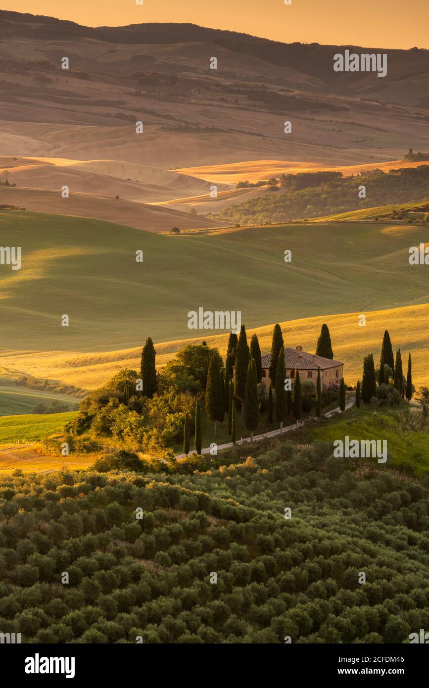 Europe, Italy, Val d'Orcia, San Quirico, Pordere Belvedere, Agritourismo, Tuscany, Tuscan Landscape, Stock Photo