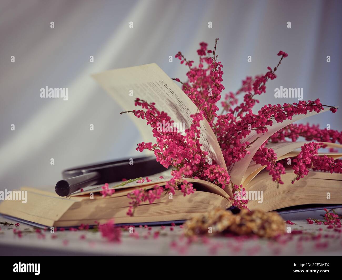 Twigs with flowers in book in pages of open book Stock Photo Alamy