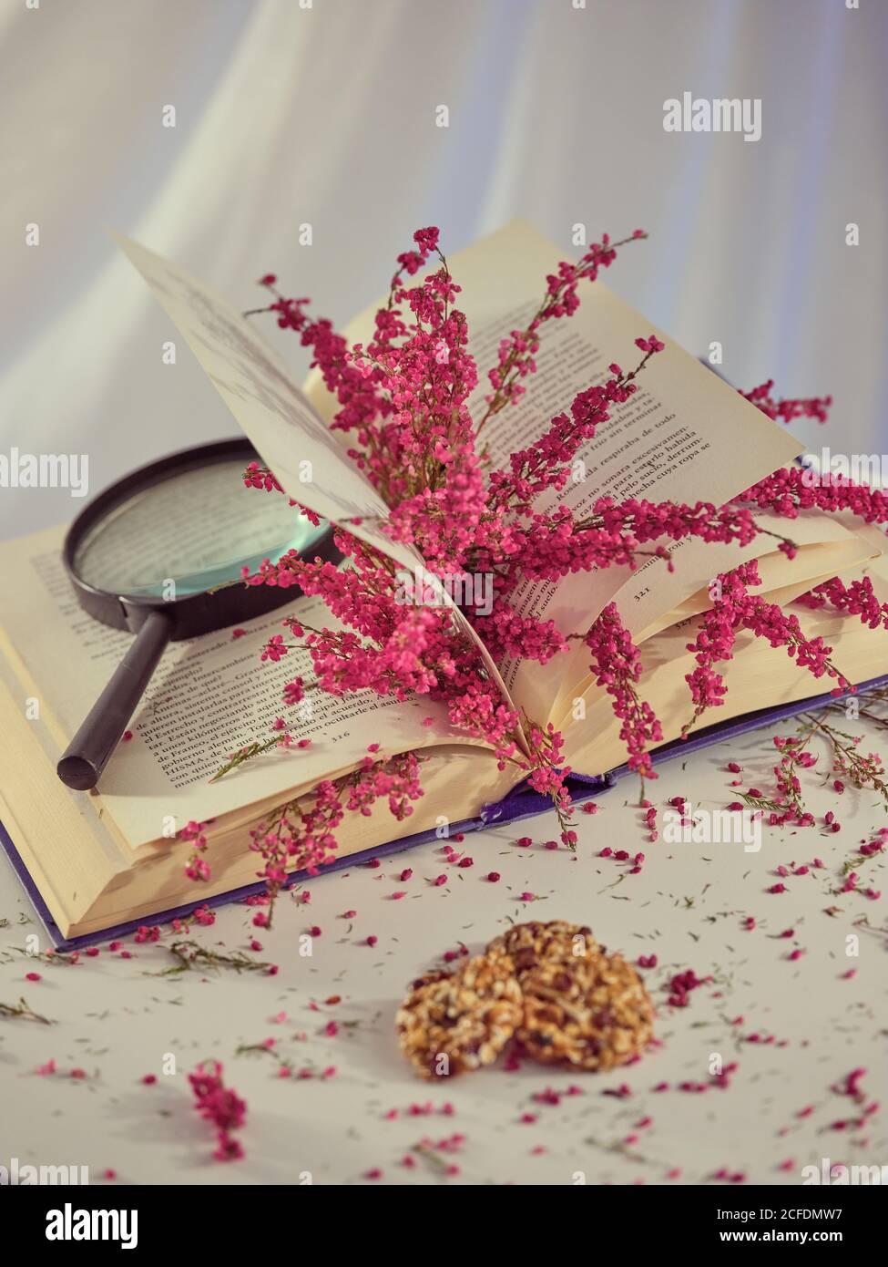 Twigs with flowers in book in pages of open book Stock Photo Alamy