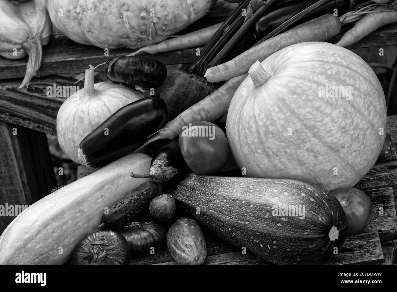 Photo vegetables,tomatoes, onions, red onions, eggplants, beets, pumpkins Stock Photo