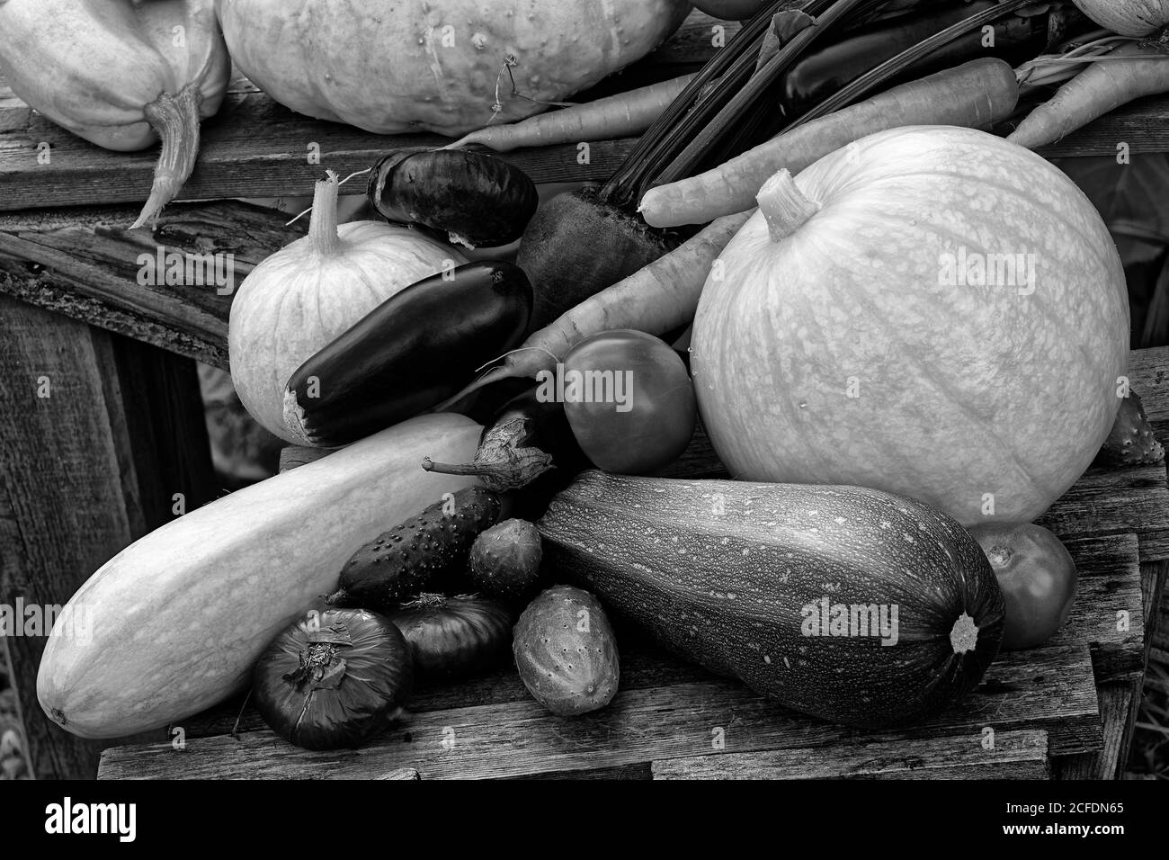 Photo vegetables,tomatoes, onions, red onions, eggplants, beets, pumpkins Stock Photo