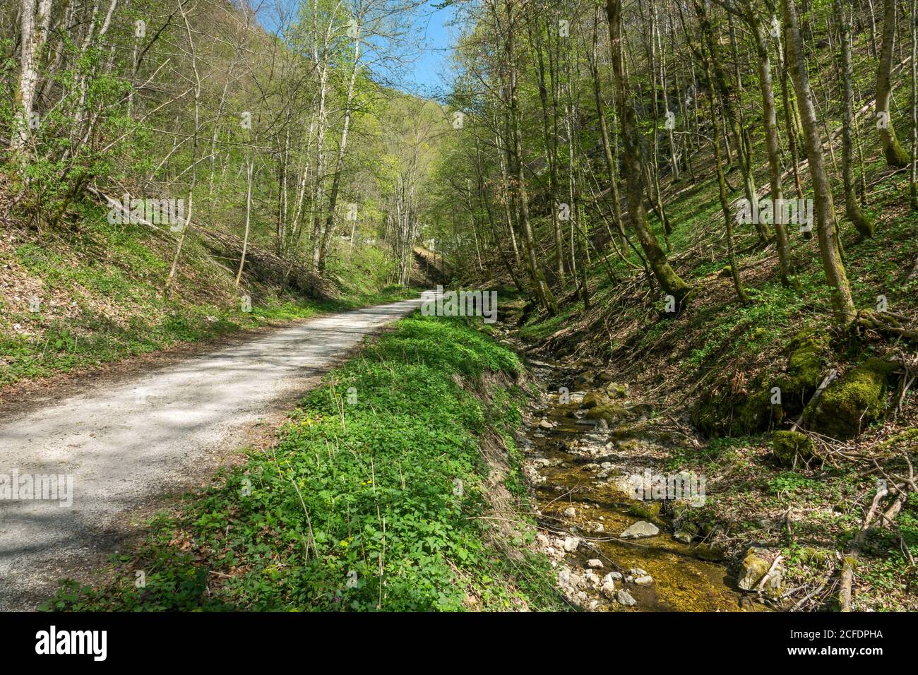 Germany, Baden-Württemberg, Bad Urach - Seeburg, at the transition from the Mühltal to the Trailfinger Schlucht above the Ermsursprung Stock Photo
