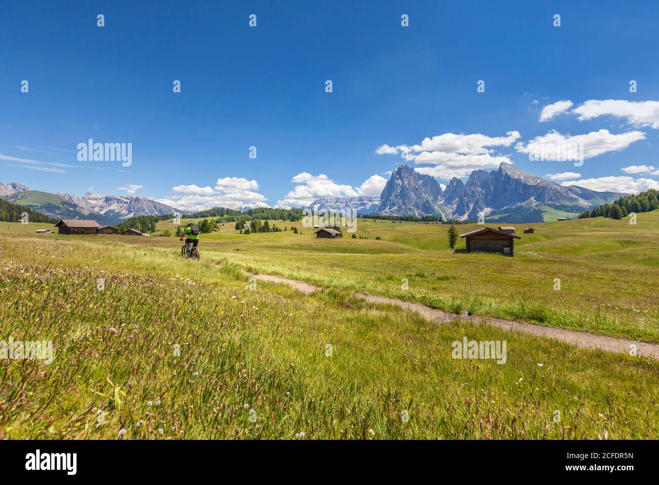 cyclist with an electric mountain bike (e-bike) pedaling in Alpe di Siusi, Seiseralm, South Tyrol, Dolomites, Italy Stock Photo