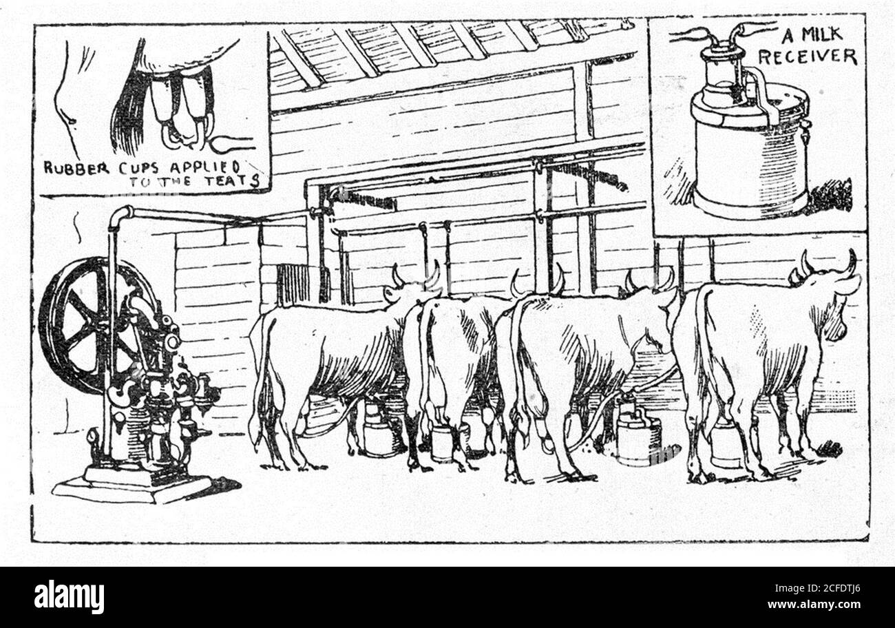 Milking machine history Cut Out Stock Images & Pictures Alamy