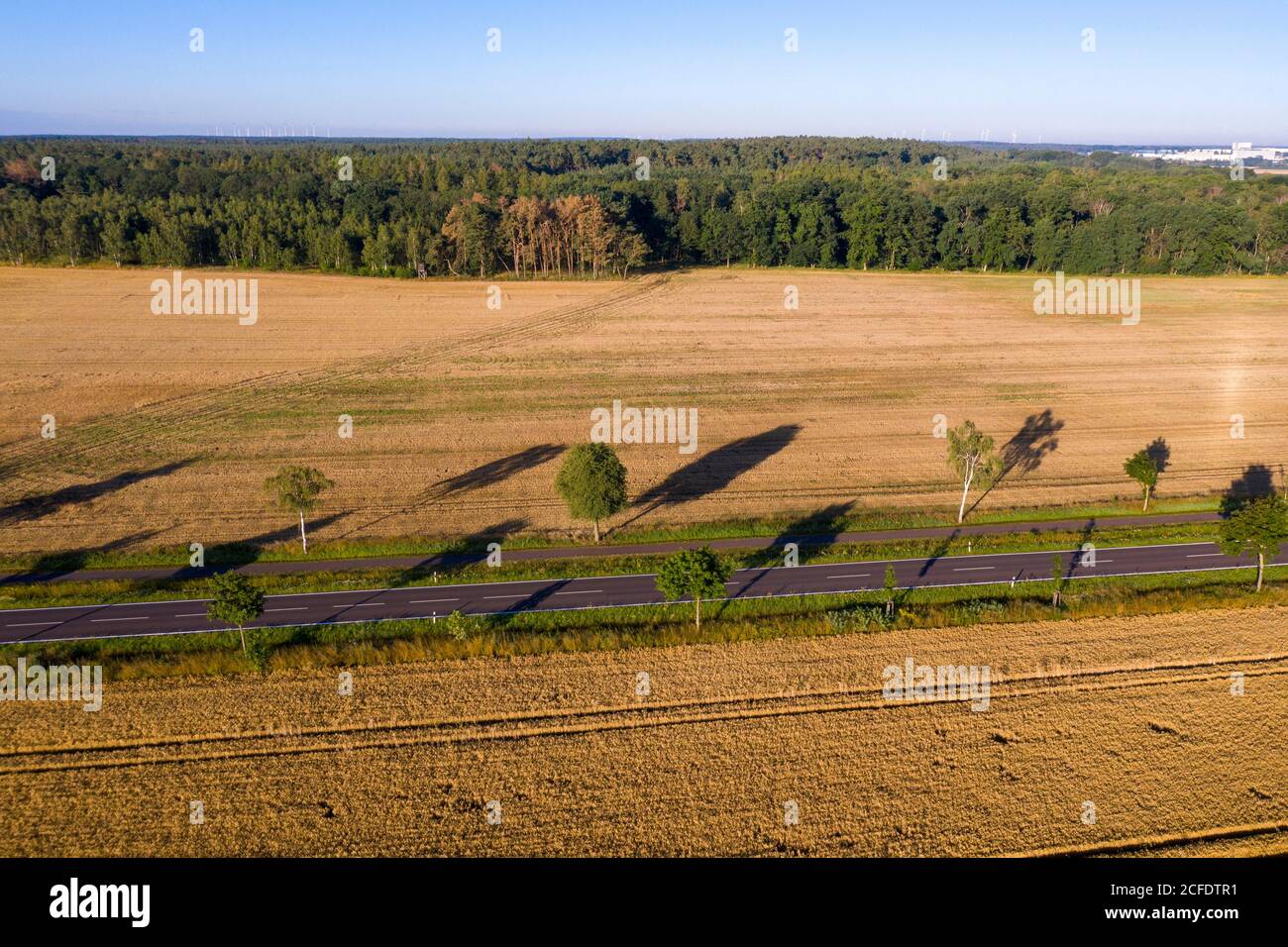 Forest bird's eye view, country road Stock Photo