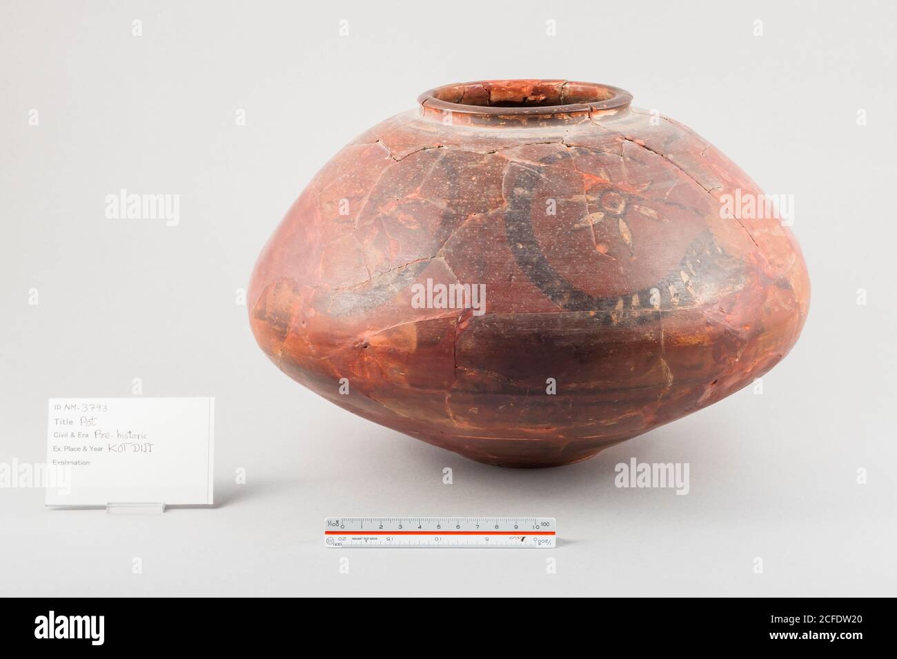 Clay Pot of buffalo and flower, original, from Kot Deji, Prehistoric