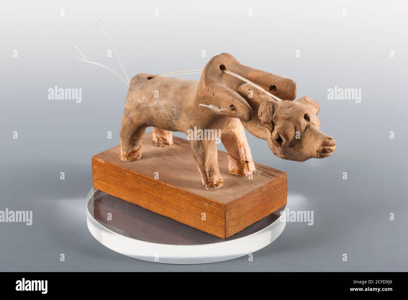 Clay animal with moving head, Mohenjo daro, Indus valley civilization Gallery, National Museum of Pakistan, Karachi, Sindh, Pakistan, South Asia, Asia Stock Photo