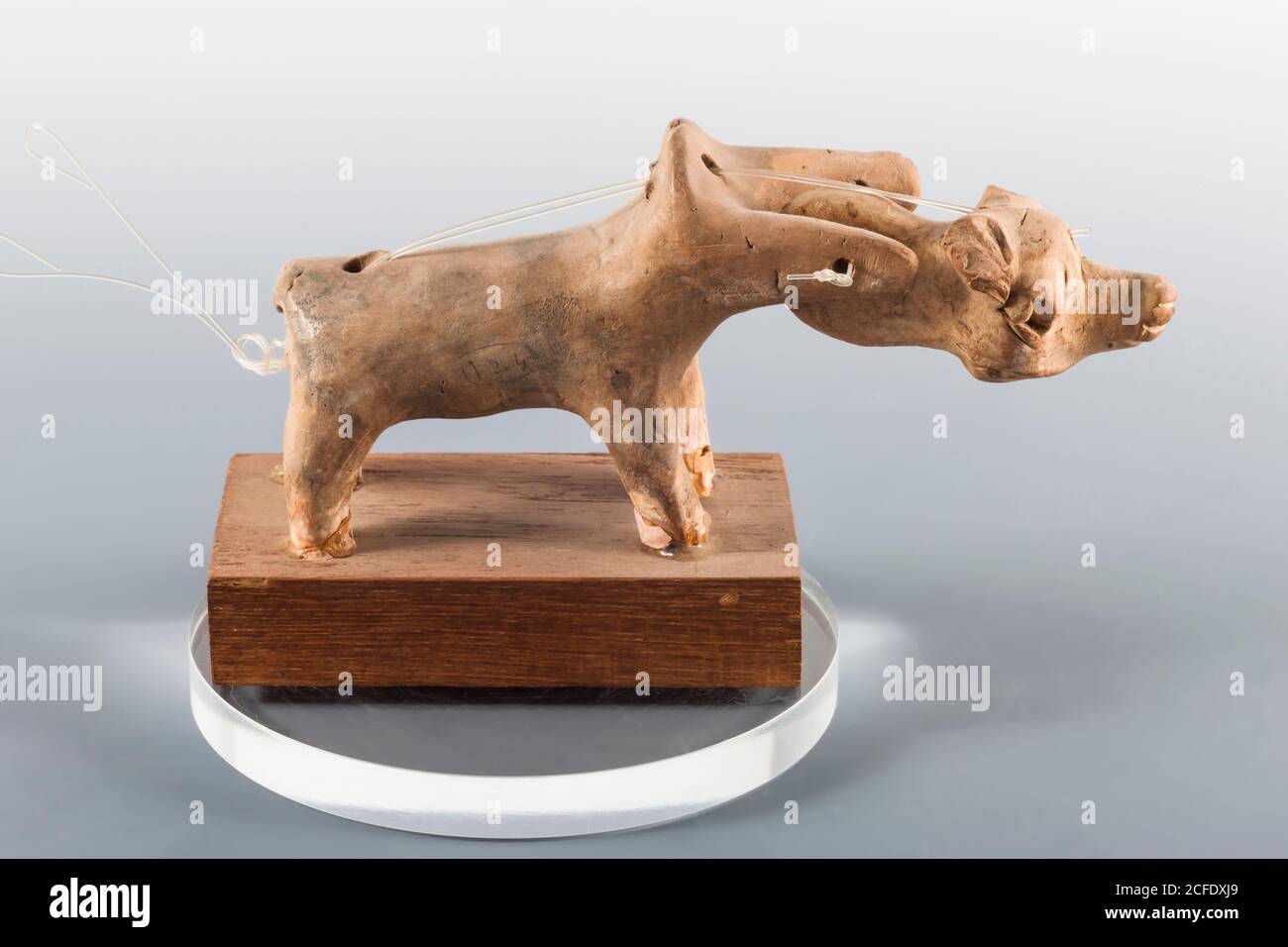 Clay animal with moving head, Mohenjo daro, Indus valley civilization  Gallery, National Museum of Pakistan, Karachi, Sindh, Pakistan, South Asia,  Asia Stock Photo - Alamy