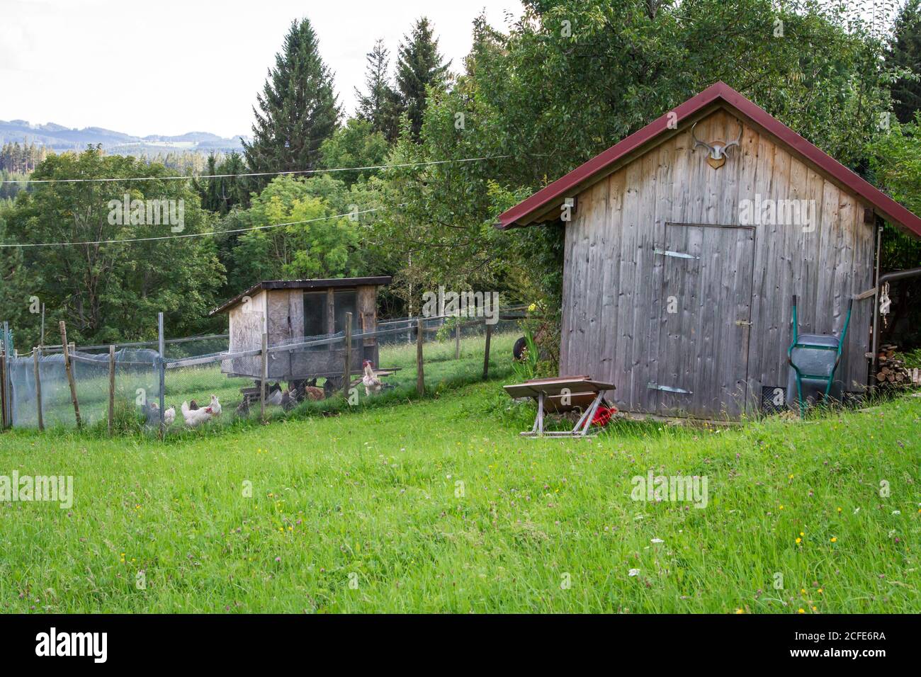 Chicken house - hiking around Karlstift, Waldviertel, Austria Stock Photo