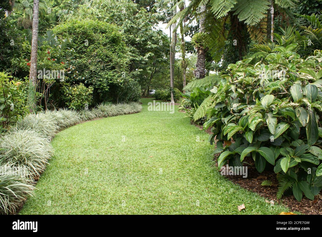 Beautiful rainforest garden at Cairns Flecker Botanic Gardens, North Queensland Stock Photo