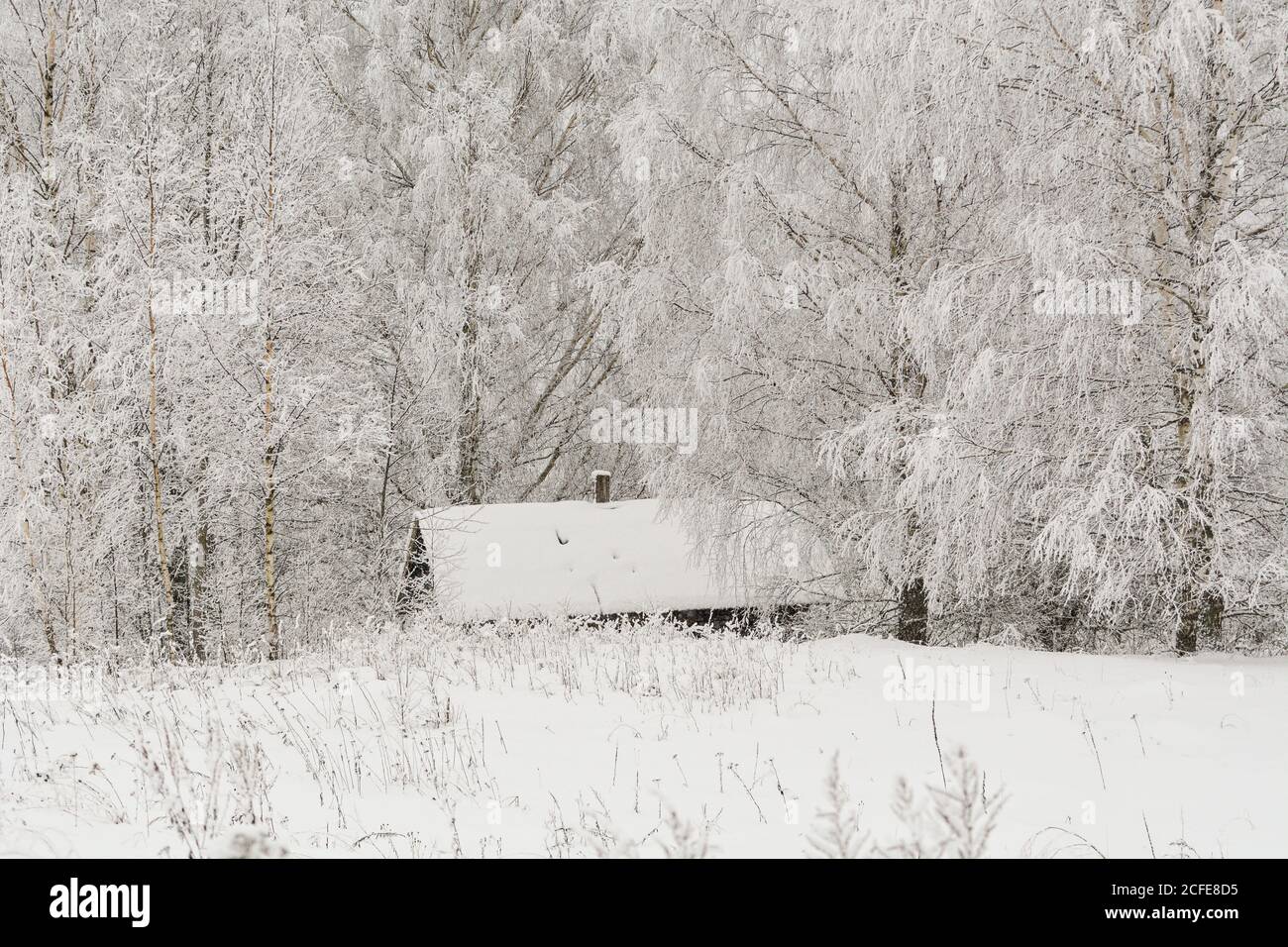 Landscape with winter covered with snow trees Stock Photo - Alamy
