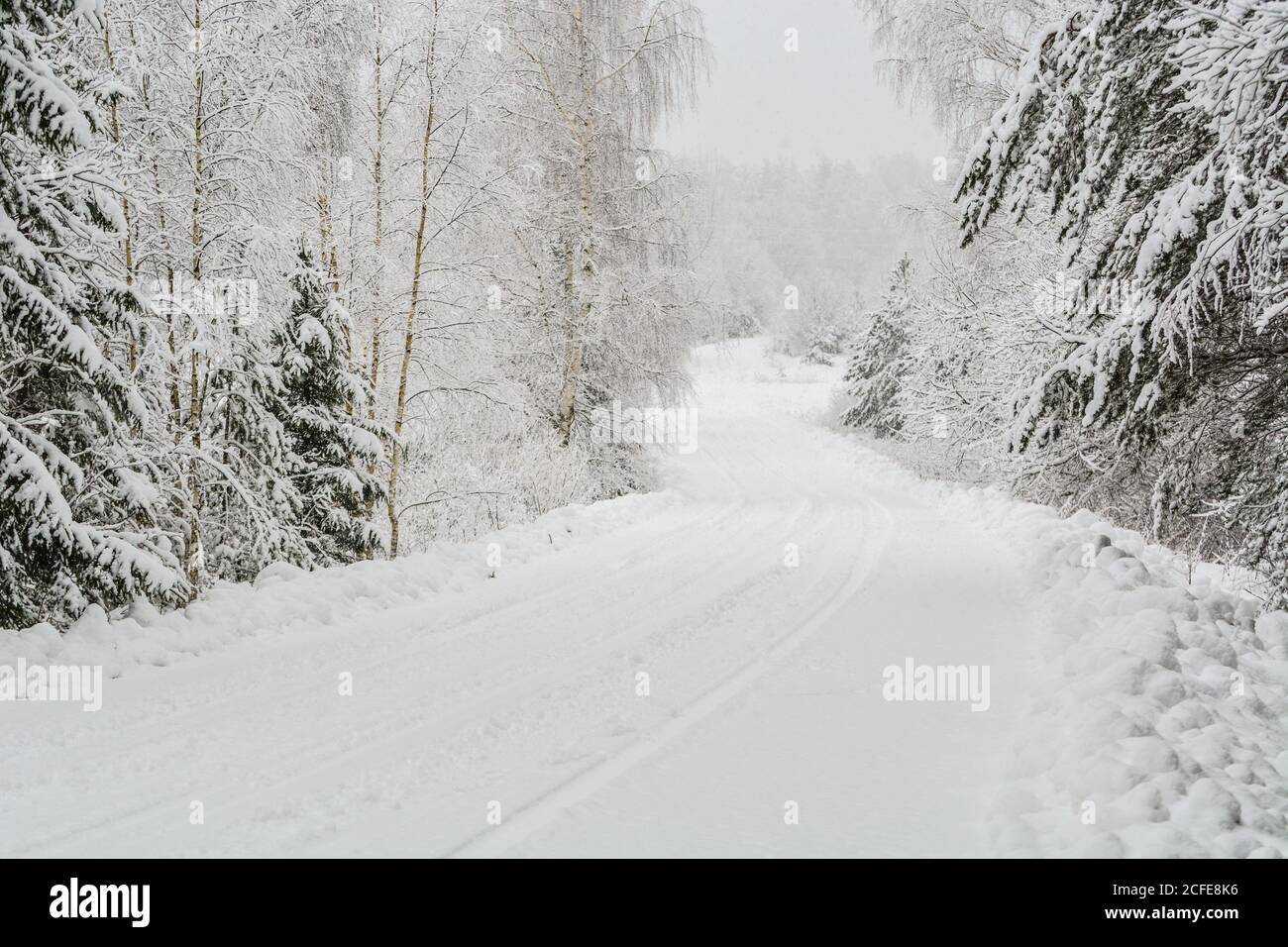 Landscape with winter covered with snow trees Stock Photo - Alamy