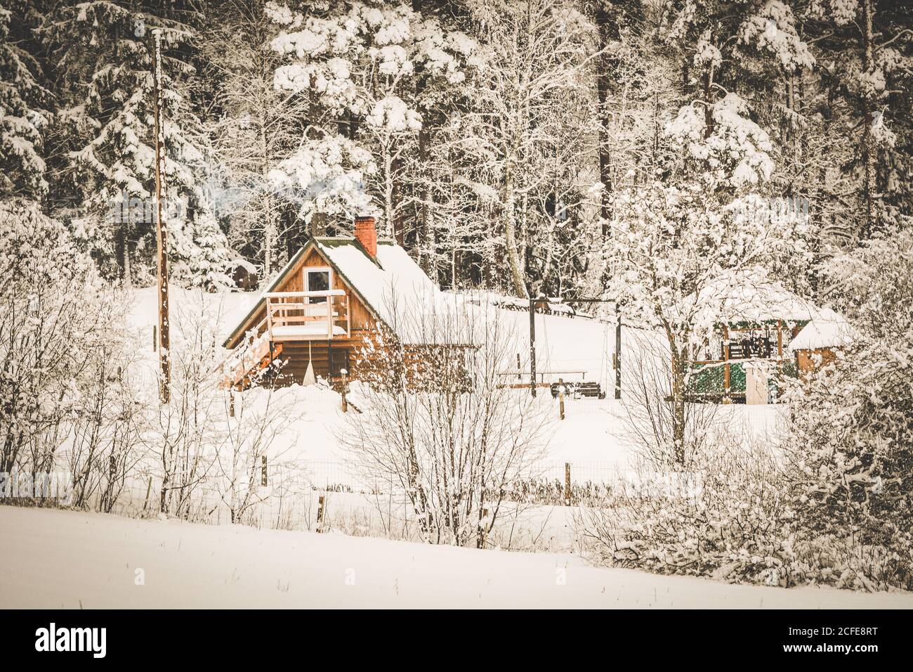Landscape with winter covered with snow trees Stock Photo - Alamy