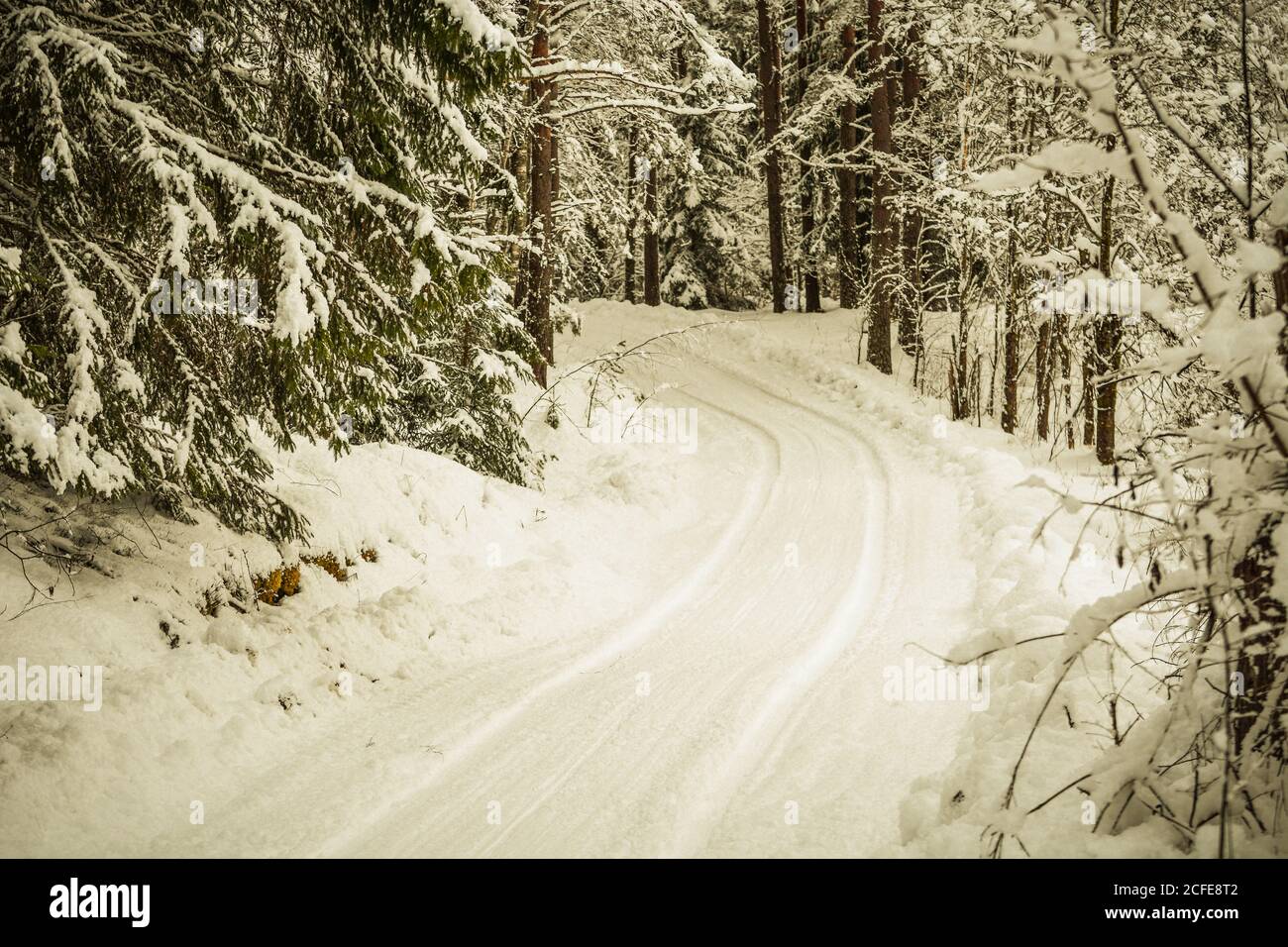 Landscape with winter covered with snow trees Stock Photo - Alamy