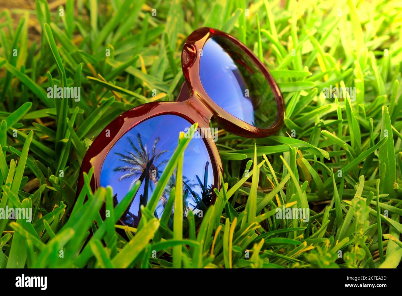 Close up of sunglasses with palm tree and in blue sky reflection. Stock Photo