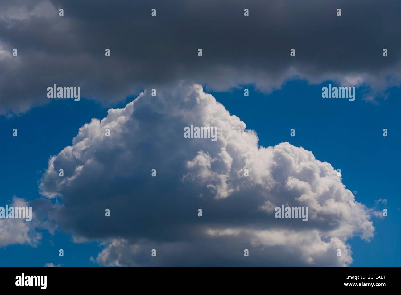 Cumulus clouds on a summer day Stock Photo