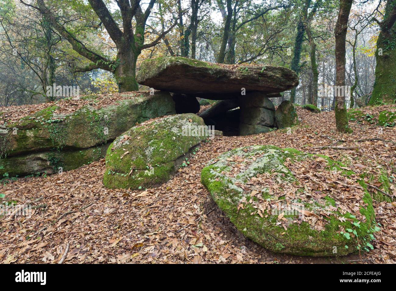 Dolmen de Roh Coh Coët Saint-Jean-Brevelay Stock Photo