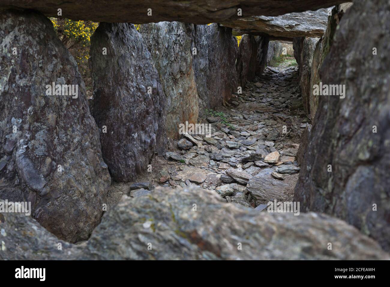 Relic from the megalithic period, the dolmens of Treal near the famous megalithic site of Saint Just in Brittany. Stock Photo