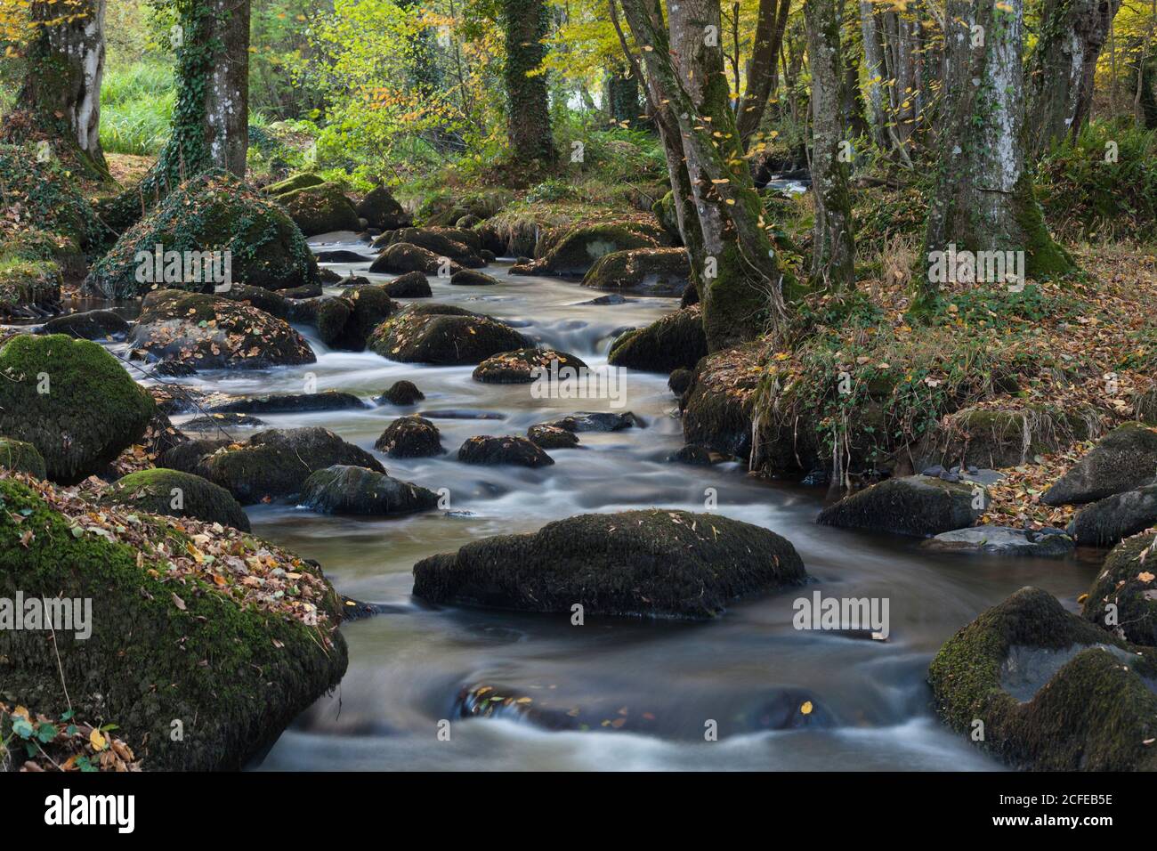 Lanrelas hires stock photography and images Alamy