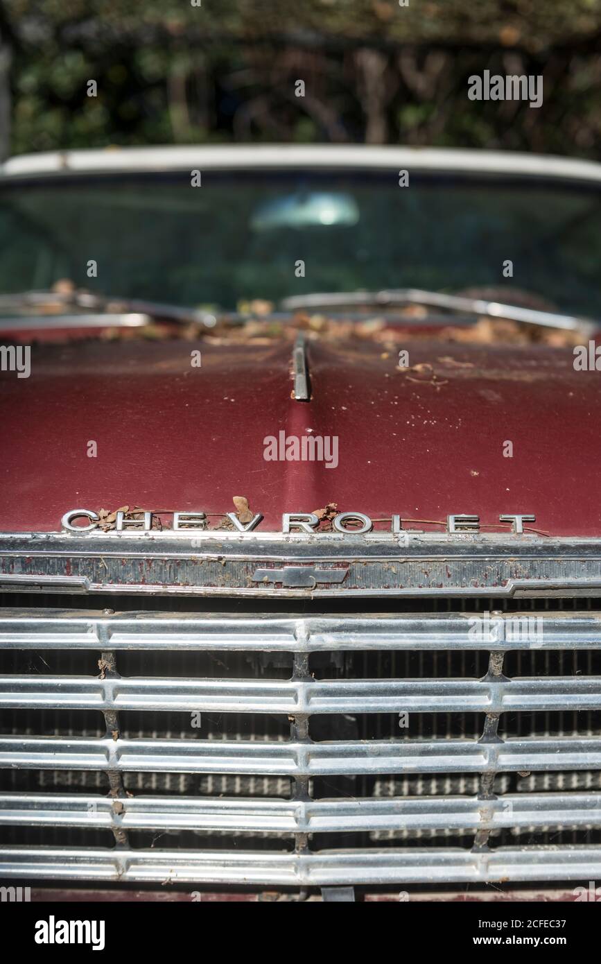 Wreckage of an old Chevrolet, detail. Stock Photo